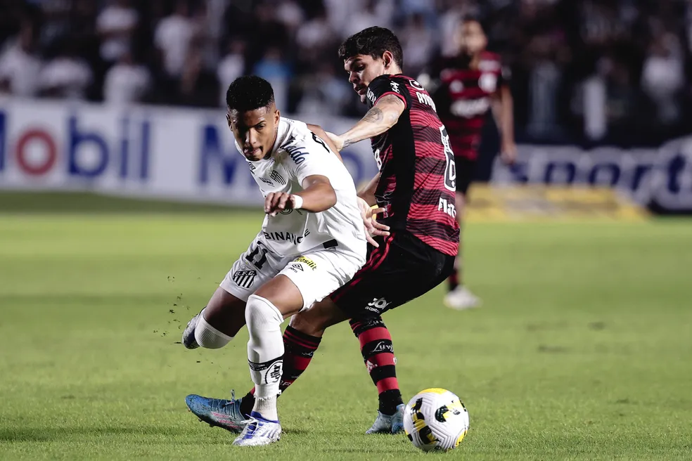 Ângelo em Santos x Flamengo — Foto: Ettore Chiereguini/AGIF